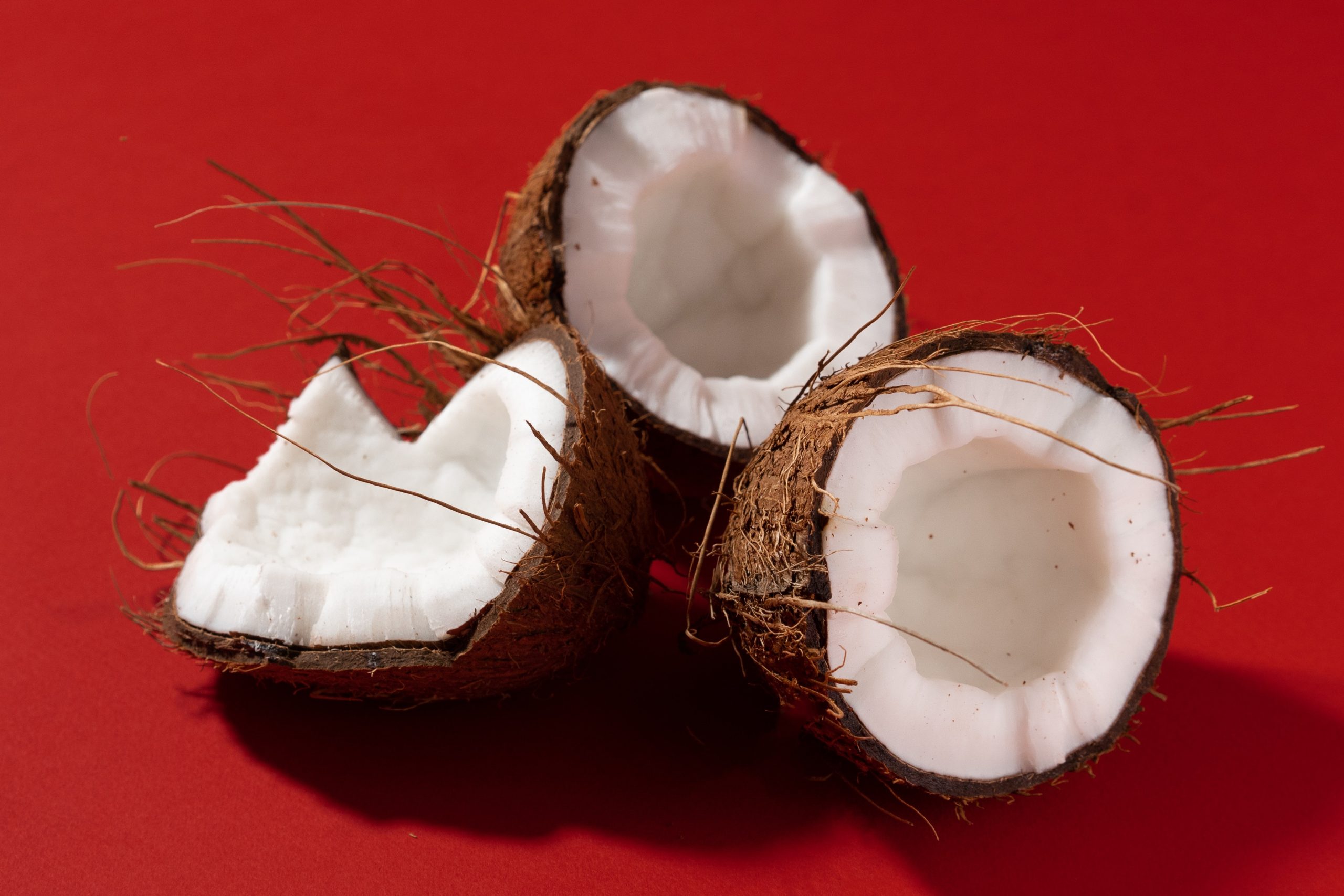 Produk Turunan Kelapa