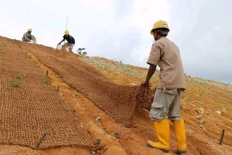 Sabut Kelapa Untuk Meminimalisir Terjadinya Longsor